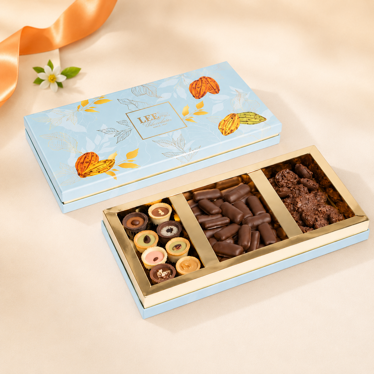 Richy Chocolate Box B
